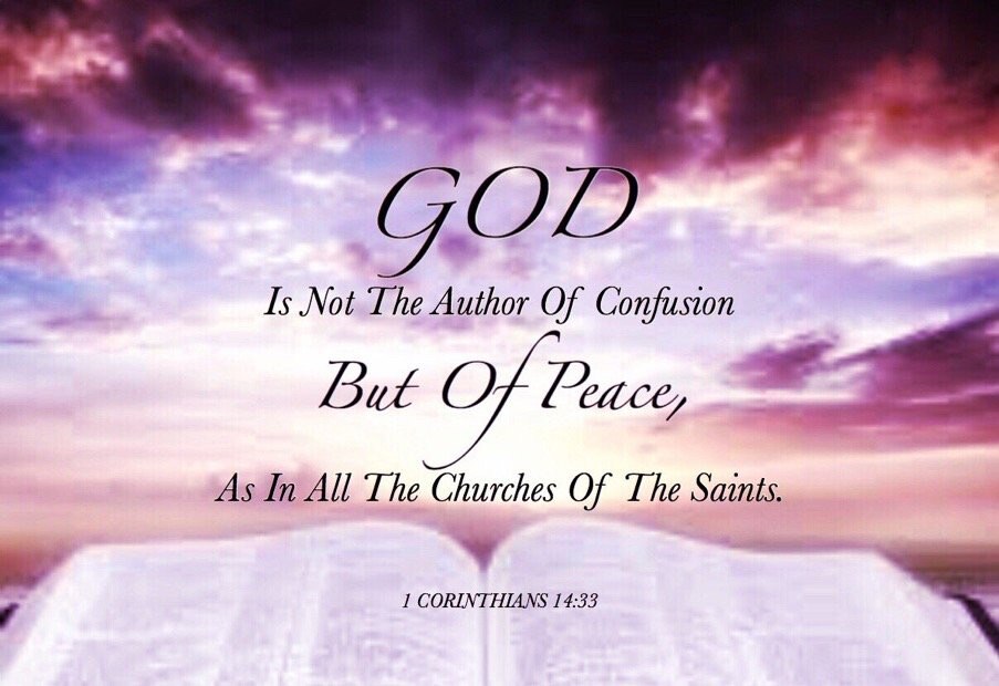 View TempAvail's post on GETTR. Join the discussion, share your thoughts, and connect with the community.