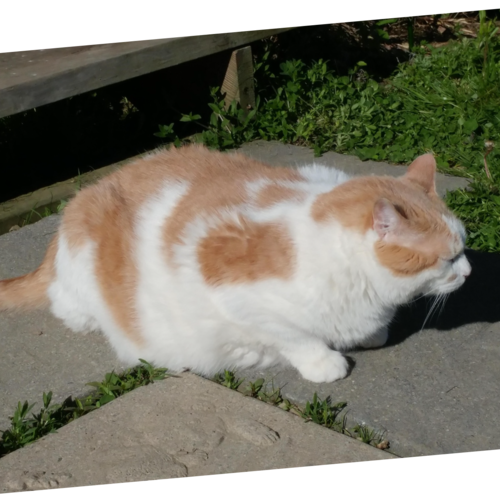 Visit rogertreat🇺🇲's profile on GETTR. View their posts, photos, videos, and connect with them on the social platform.