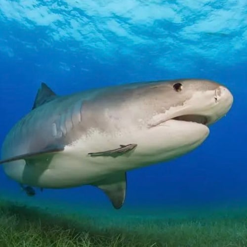 紧跟七哥的脚步，无往不前！不停歇、不迟疑、不枉此生