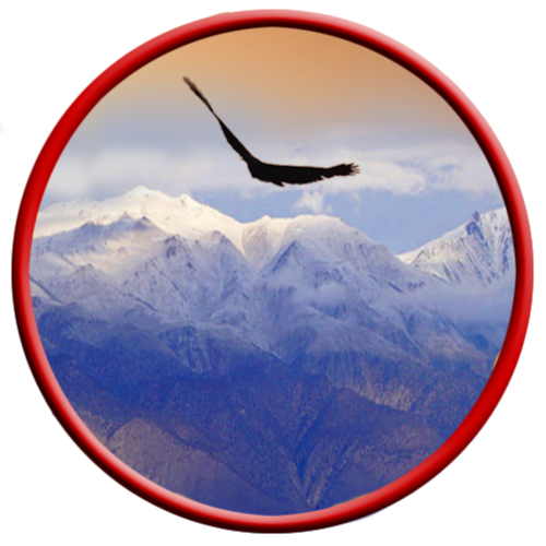 Writer, Objectivist, Ayn Rand fan, freedom lover, happily married, and all around good person.