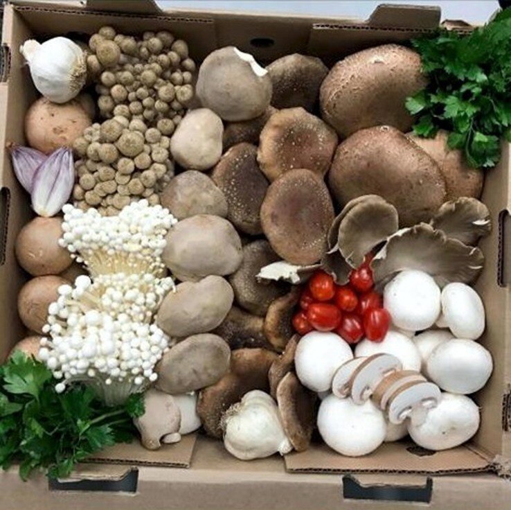 8月19日大多伦多地区 #HPay生活圈考察体验活动通知（蘑菇采购+酒庄品酒游览）
活动报名： @YALUN
活动要求：尽量穿Gfashion,可带家属和爆二代
 
集合时间：下午1:00 pm
第一...