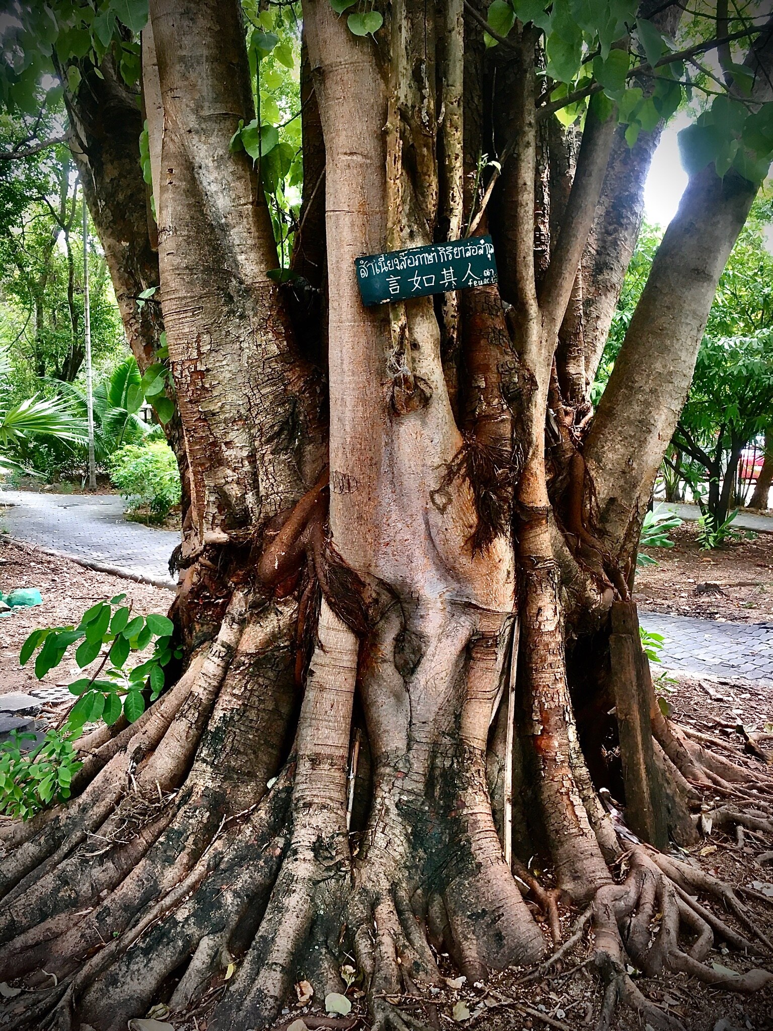 去国有壮士，
言如其人真。
揭秘惊寰宇，
天地塞如斯。
https://gettr.com/post/p2o715sb254