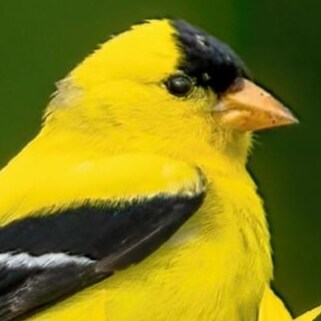 Actor. Resides in Australia and I am a huge Wrestling Fan.