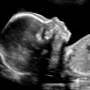 Visit ricclang's profile on GETTR. View their posts, photos, videos, and connect with them on the social platform.