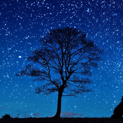 Visit TTfan(互粉）'s profile on GETTR. View their posts, photos, videos, and connect with them on the social platform.