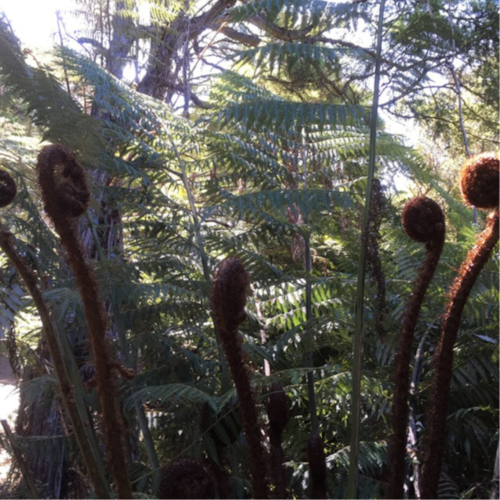 save earth and humanity from the evil octogon state of swissyland