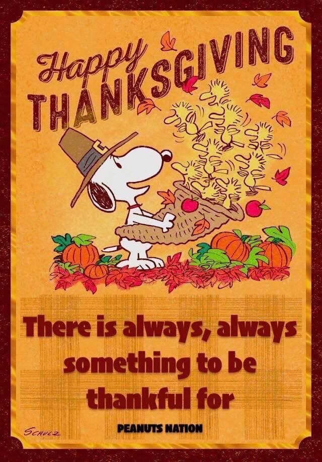 @summer02 🥧🥮🤗💖Good evening and thank you so much @Summer02 my wonderful sister ❣️🍁🦃🥰