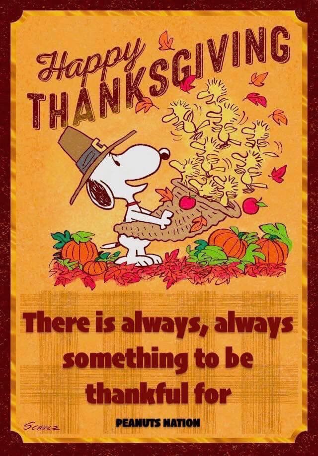 🥧🥮🤗💖Good evening and thank you so much @Summer02 my wonderful sister ❣️🍁🦃🥰
