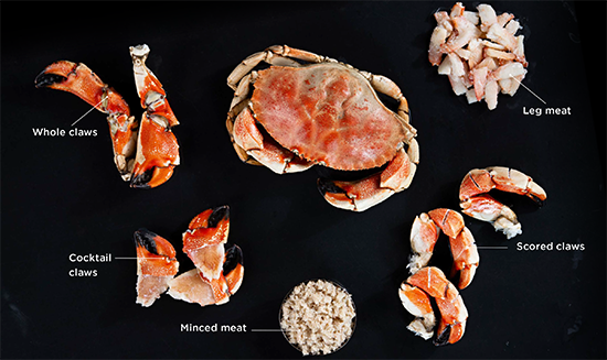 Cua Jonah - Món ngon thượng hạng từ biển cả

Cua Jonah là loại cua biển có nguồn gốc từ vùng biển Bắ...