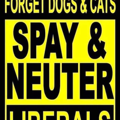 Patriot 100% MAGA DJT is my president