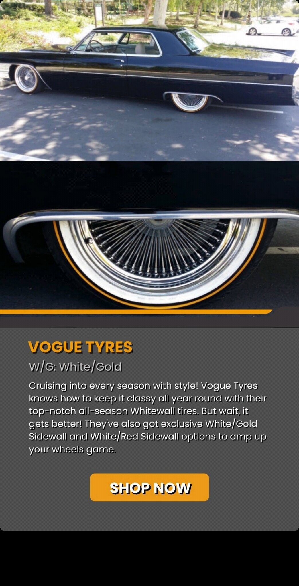 Shop Now At Link In Bio.

*FREE SHIPPING 🎁🇺🇸