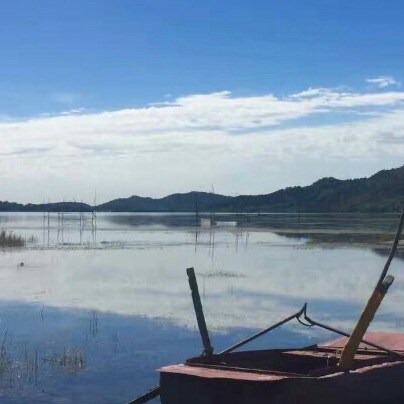 I'm a criminal lawyer and I've been practicing law for over 10 years now