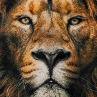 Visit FernandoOliveira0831's profile on GETTR. View their posts, photos, videos, and connect with them on the social platform.