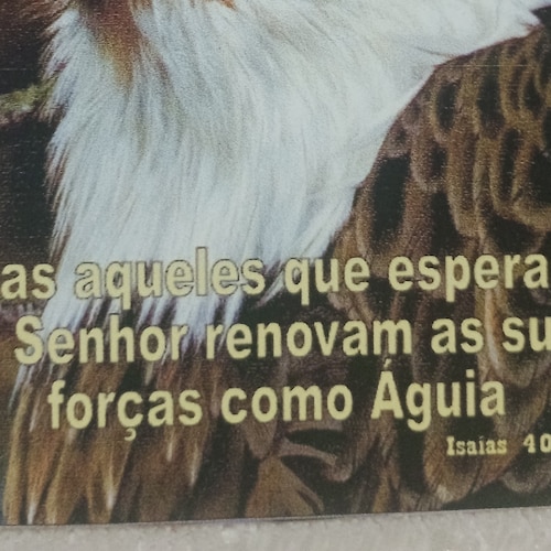 DEFENSORA DA SOBERANIA , INDEPENDÊNCIA DA REPUBLICA FEDERATIVA DO BRASIL JUNTO AO SENADO, CONGRESSO  E  O POVO BRASILEIR...