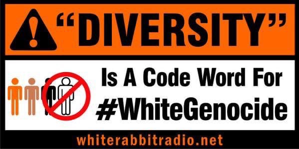 “#Diversity™” = #WhiteGenocide

How diverse is diverse “enough”? What percentage is finally enough?…...