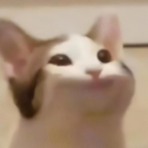 Visit PopCat-Games's profile on GETTR. View their posts, photos, videos, and connect with them on the social platform.