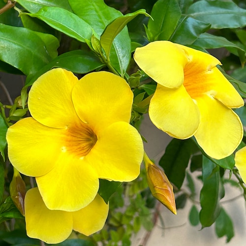 Deus
Pátria
Família
A serviço da vida, do bem, da liberdade.
Somos livres para escolher, e escravos das consequências.
A verdade é como a luz, sempre aparece.