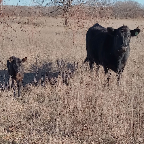 Visit Rp196122's profile on GETTR. View their posts, photos, videos, and connect with them on the social platform.