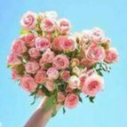 Visit Agatha41545's profile on GETTR. View their posts, photos, videos, and connect with them on the social platform.