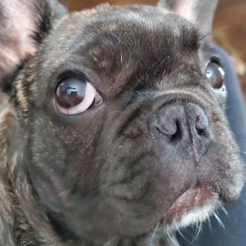 🇺🇸 America 1st supporter. 
Proud Deplorable.