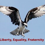 Visit Brainwash_&_The_Big_Lie's profile on GETTR. View their posts, photos, videos, and connect with them on the social platform.