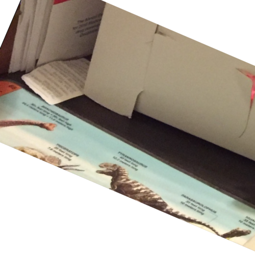 Take the Carco Pills