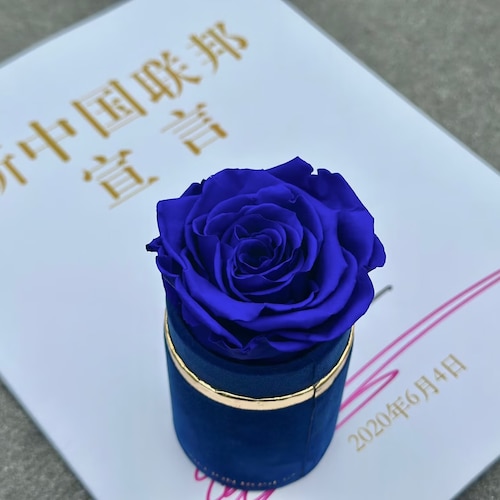 我们是消灭邪恶共产党的新中国联邦人✊✊✊一切已经开始