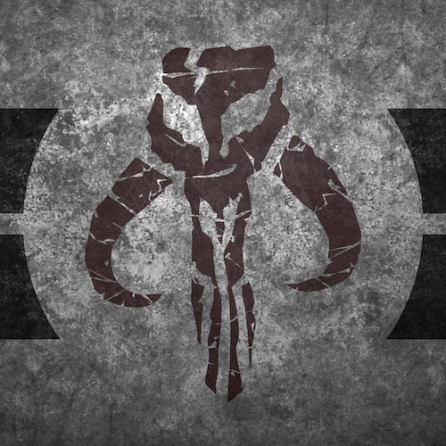 Laidback cool dude, Freedom loving son of a bitch ,