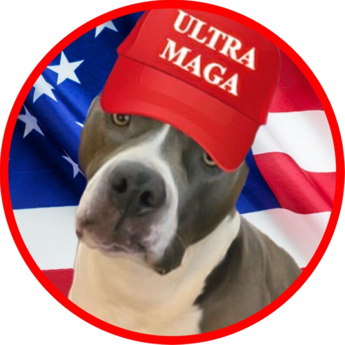 🇺🇸Freedom loving Navy combat veteran. 🇺🇸 ULTRA MAGA🇺🇸Nationalist🇺🇸Donald Trump Won!🇺🇸Memes!!🇺🇸Merica!🇺🇸 Do your own homework 🇺🇸