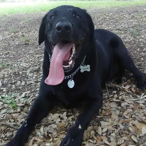 Conservative Catholic that will fight to keep his freedoms