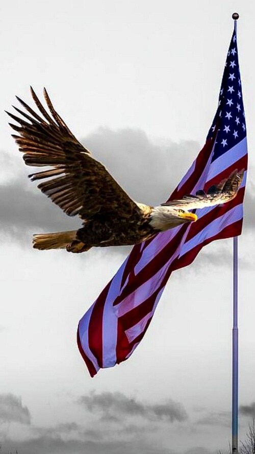American patriots,

Rise your heads up like bald eagles and be proud on yourselves. We've suffered e...