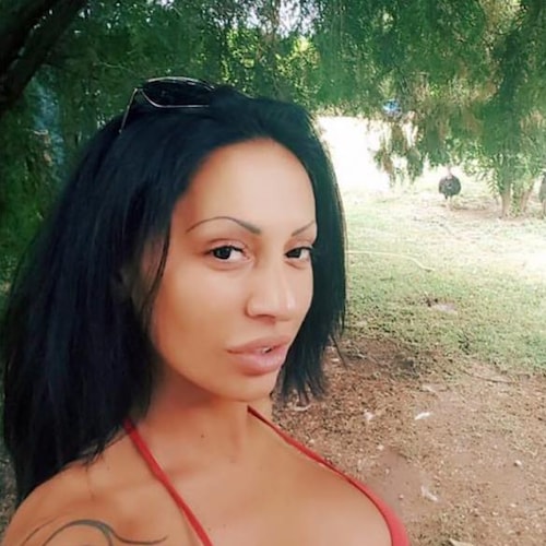 Conservative,US Army, Free country