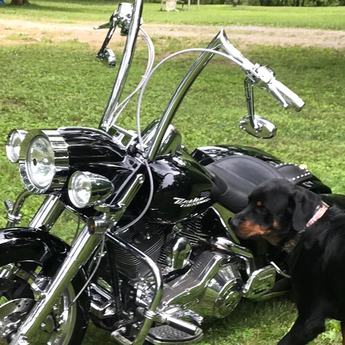 A still clinging to my Bible, and my guns. Husband, grandpa, not as lean but still a Marine.