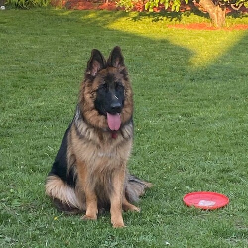 Trump 2024  #MAGA #PATRIOT

Liberalism is a disease.

Republican.

Covid vaccines are poison.