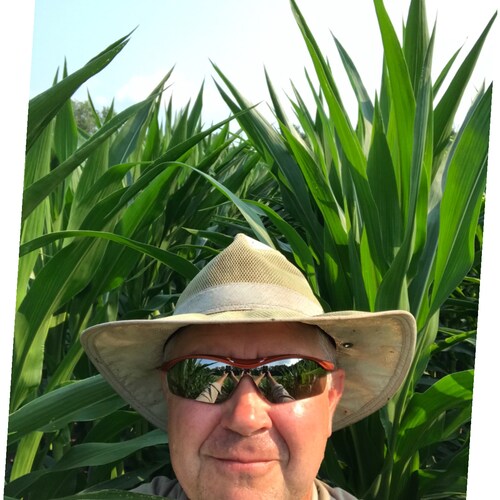 Trump supporter, American, believe what’s right is right. I don’t care about what you believe but don’t try and make lik...