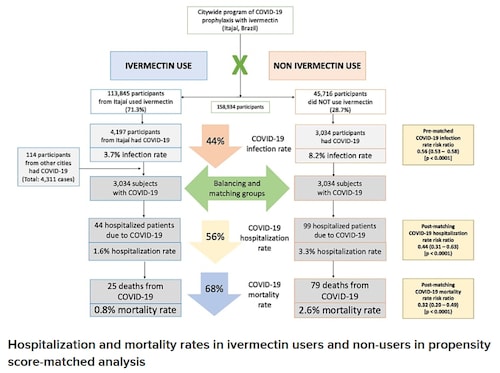 Background: Ivermectin has demonstrated different mechanisms of action that potentially protect from both coronavirus disease 2019 (COVID-19) infection and COVID-19-related comorbidities. Based on the studies suggesting efficacy in prophylaxis combined with the known safety profile of ivermectin, a citywide prevention program using ivermectin for COVID-19 was implemented in Itajaí, a southern city in Brazil in the state of Santa Catarina. The objective of this study was to evaluate the impact of regular ivermectin use on subsequent COVID-19 infection and mortality rates.

Materials and methods: We analyzed data from a prospective, observational study of the citywide COVID-19 prevention with ivermectin program, which was conducted between 