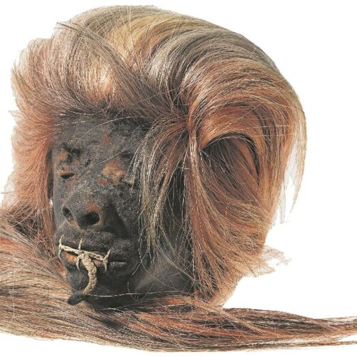 Visit SchrumpfkopfTV's profile on GETTR. View their posts, photos, videos, and connect with them on the social platform.