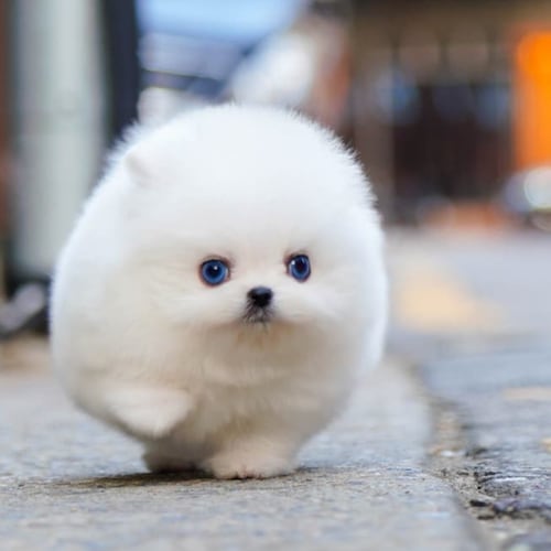 Visit audiovintagebr's profile on GETTR. View their posts, photos, videos, and connect with them on the social platform.