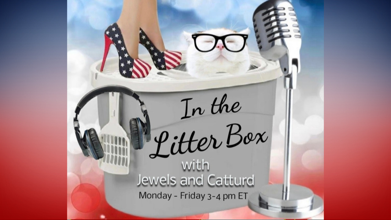 M-F at 3:00PM ET | Visit: https://inthelitterbox.com
Hosts: Jewels Jones & Catturd

Jewels Socials:
Twitter: @JewelsJonesLive
TRUTHSocial: @JewelsJones
GETTR: @JewelsJones
Gab: @JewelsJones1
Rumble: https://rumble.com/c/JewelsJonesLive
Rumble: https://rumble.com/c/InTheLitterBox
Website: www.jewelsjoneslive.com

Catturd Socials:
Twitter: @catturd2
TRUTHSocial: @catturd2
GETTR: @catturd2
Gab: @Catturd
Rumble: https://rumble.com/c/InTheLitterBox
Website: www.ilovecatturd.com

--DISCLAIMER-- This show contains the opinions of the two hosts and is meant for entertainment purposes only. We provide sources of where our information is obtained. Viewer discretion is advised.