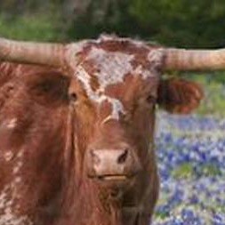 Keep Texas Red🇺🇸❤️🇺🇸❤️