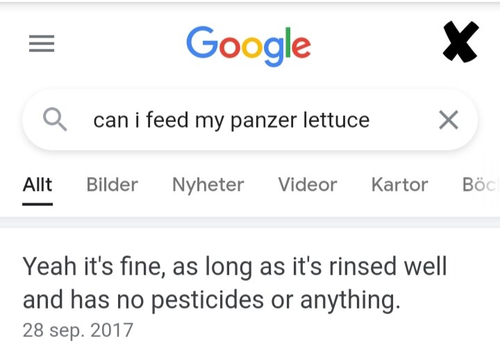 #trump #trumprally #ElonMusk  #Tyson 