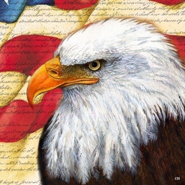 Visit SteveKalvig's profile on GETTR. View their posts, photos, videos, and connect with them on the social platform.