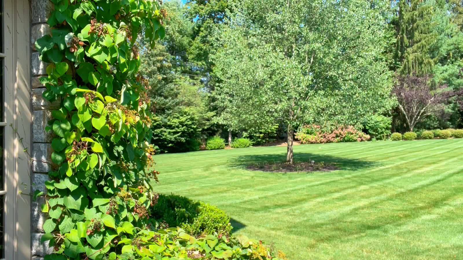 8月14号：尊敬的战友们好．共产党刚刚召开了所谓应对紧急紧急形式的协调大会，无论从哪个方面共产党的政治，经济，外交，军事外汇都到了即将崩溃的时刻……