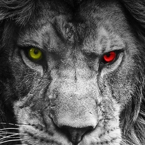 Horseman/Conservative/Patriot