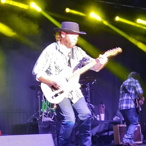 Dad, musician, music teacher, painter and lover of freedom and liberty