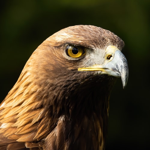 Visit VillageNorth's profile on GETTR. View their posts, photos, videos, and connect with them on the social platform.