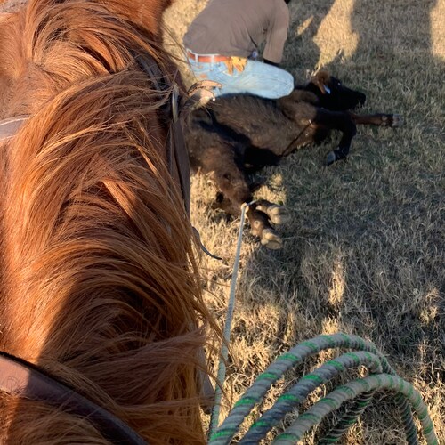 Christian Conservative 🍊Don’t retreat, Reload! Sarah Palin