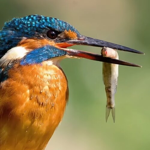 In a world where facts are hard to find, search smarter, think harder, and stick to your beliefs because we are a minori...