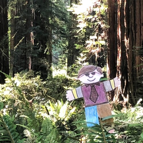 Husband,Father,Grandfather. Small business owner with Libertarian views.