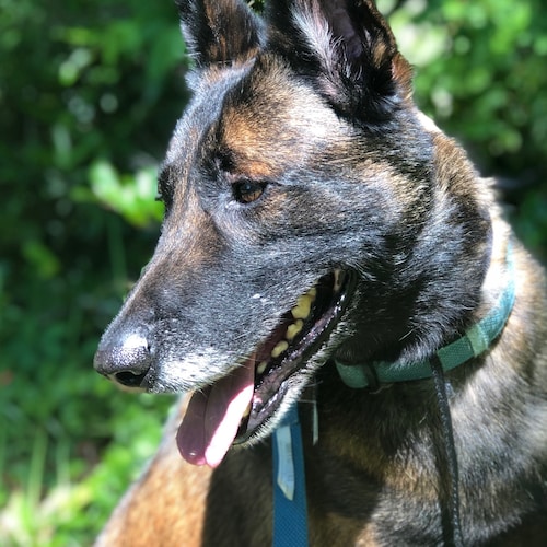 Visit davisep's profile on GETTR. View their posts, photos, videos, and connect with them on the social platform.